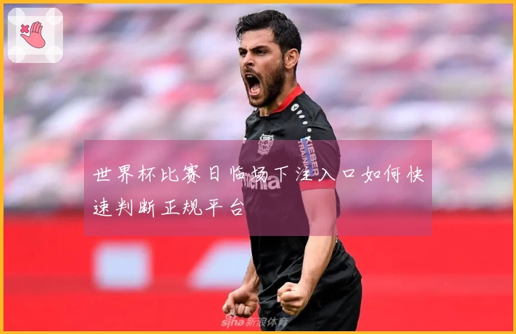 世界杯比赛日临场下注入口如何快速判断正规平台