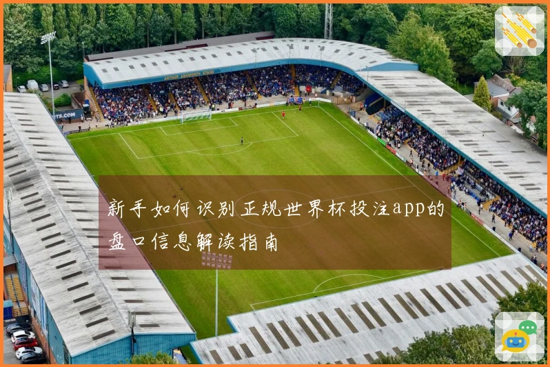 新手如何识别正规世界杯投注app的盘口信息解读指南
