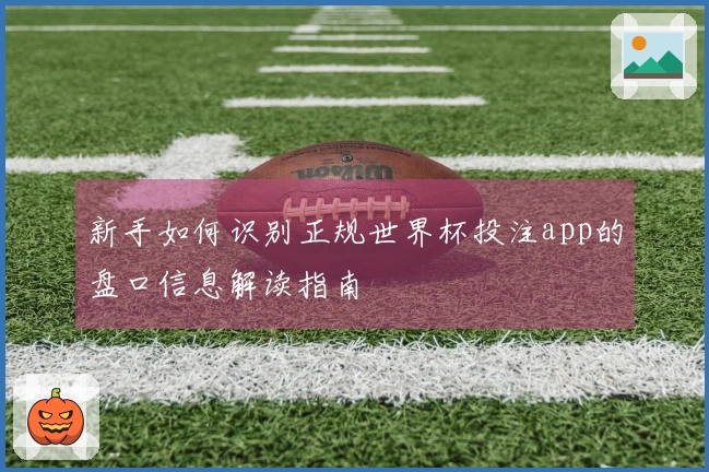 新手如何识别正规世界杯投注app的盘口信息解读指南